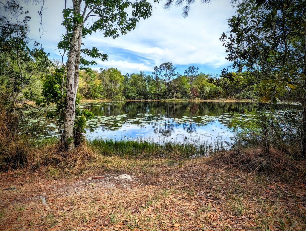 Land O’ Lakes, FL 